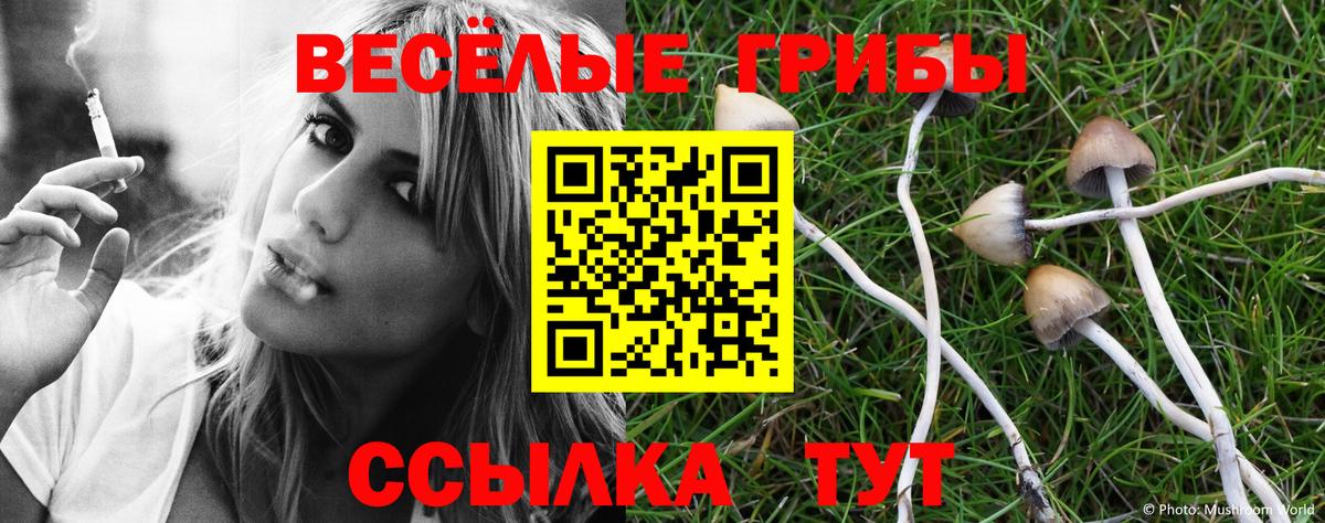 Псилоцибиновые грибы ЛСД Еманжелинск