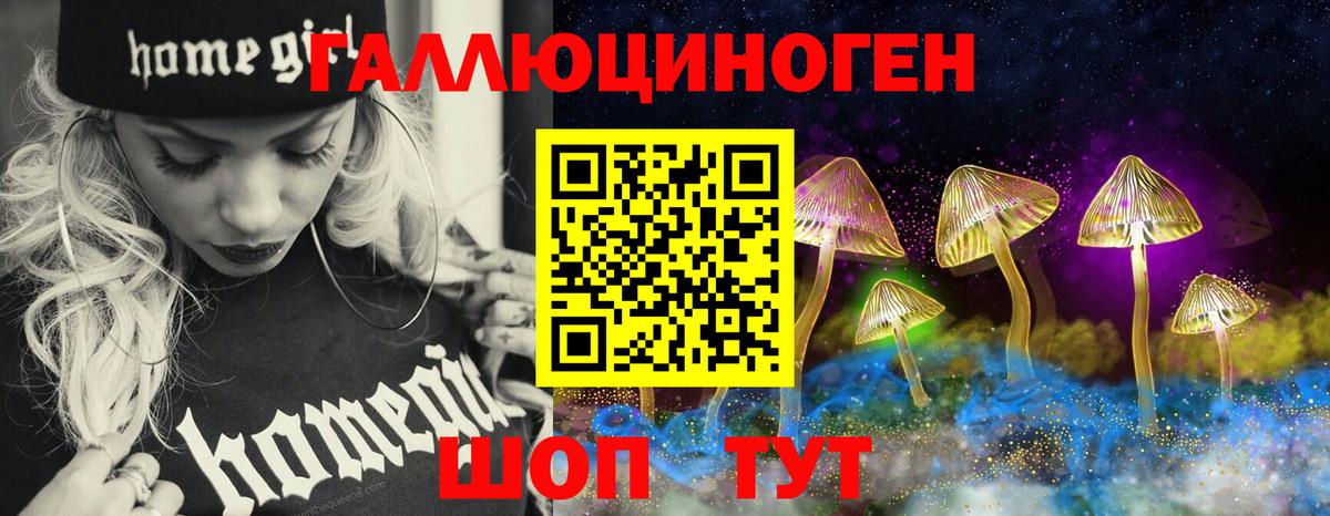 Галлюциногенные грибы Psilocybe  Вход с VPN  Псилоцибиновые грибы Psilocybine cubensis  Еманжелинск 